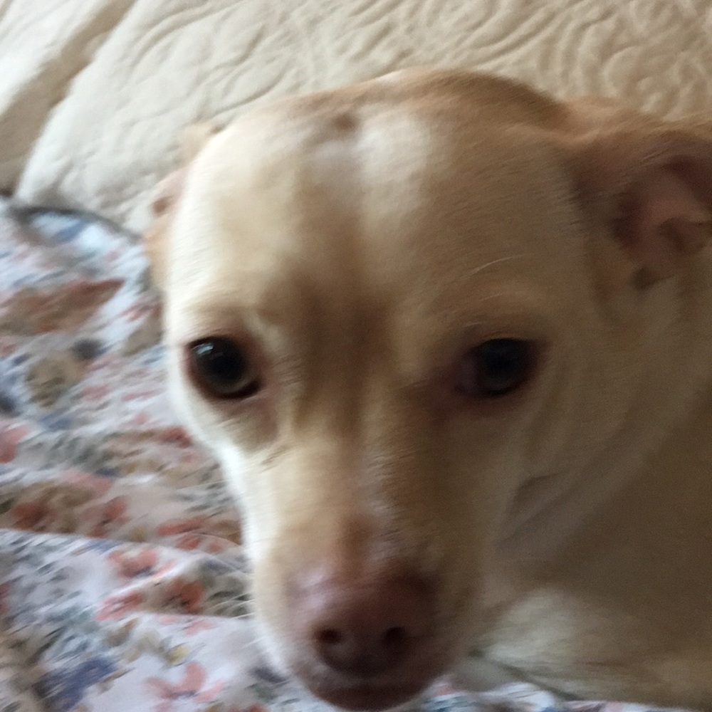 Meet your Posher, Sharon